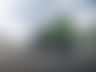 Kawasaki lança a Ninja ZX-4RR 2026, genial supersport média