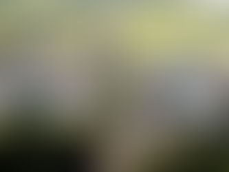 Barretos Motorcycles: camping no Parque do Peão é alternativa para motociclistas