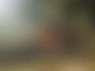 Conheça a nova Honda XR 300L Tornado!