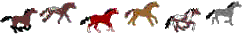 cheval_123.gif