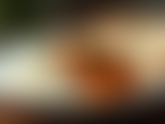 Late Night Desi Food in Brampton Best Spots Open After 10 PM