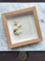 Miniatura: Quadro Flora - moldura de madeira