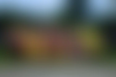 FFT Fricktal – Team Rot steigt in die 3. Liga auf und holt sich den Meistertitel