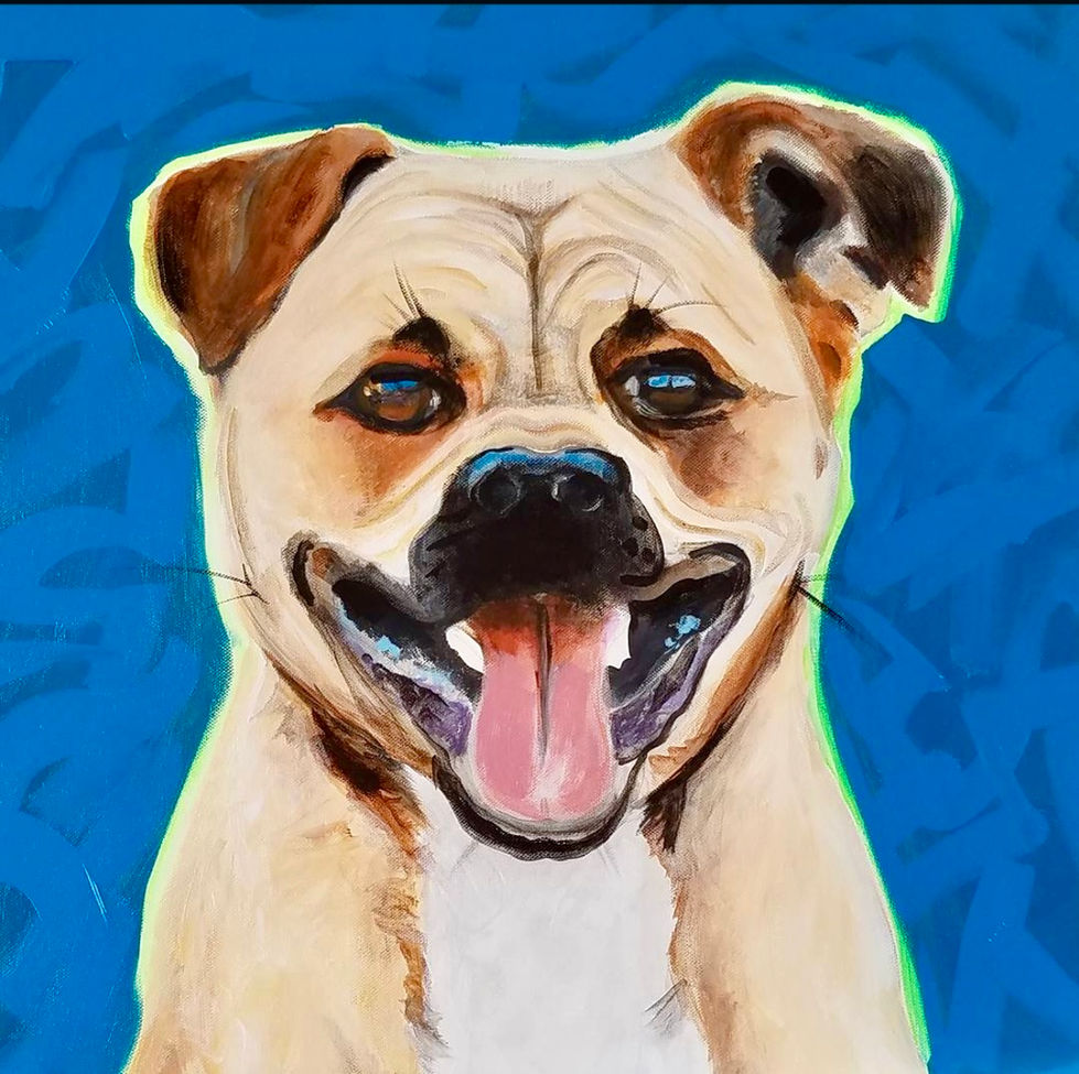 Dog w blue background