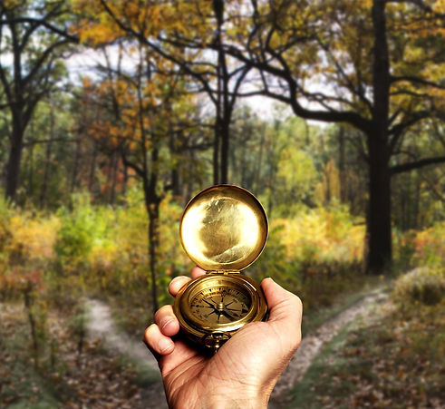 Navigating in Woods_edited.jpg
