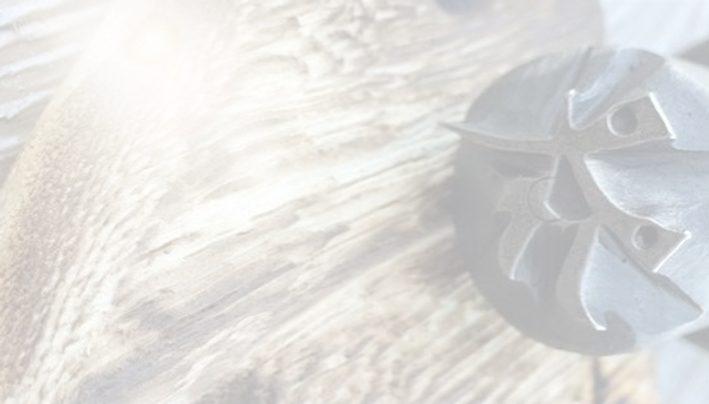 33691447_101949434032280_394432501490332