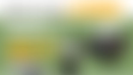 クレジードくんの豆知識!車載正弦波インバーターってなに