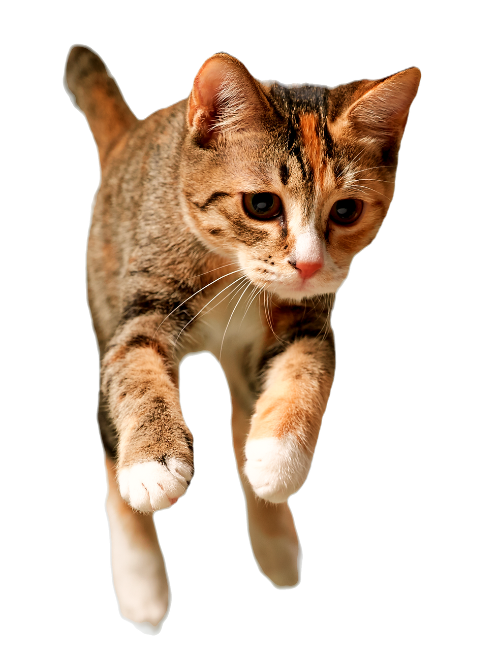 GettyImages-453216841_edited.png