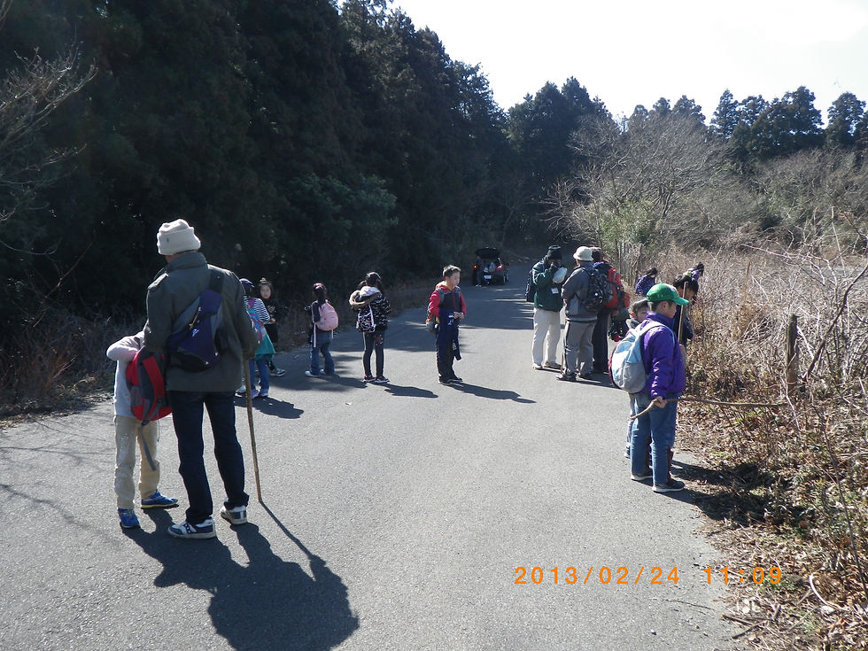 IMGP0909.JPG