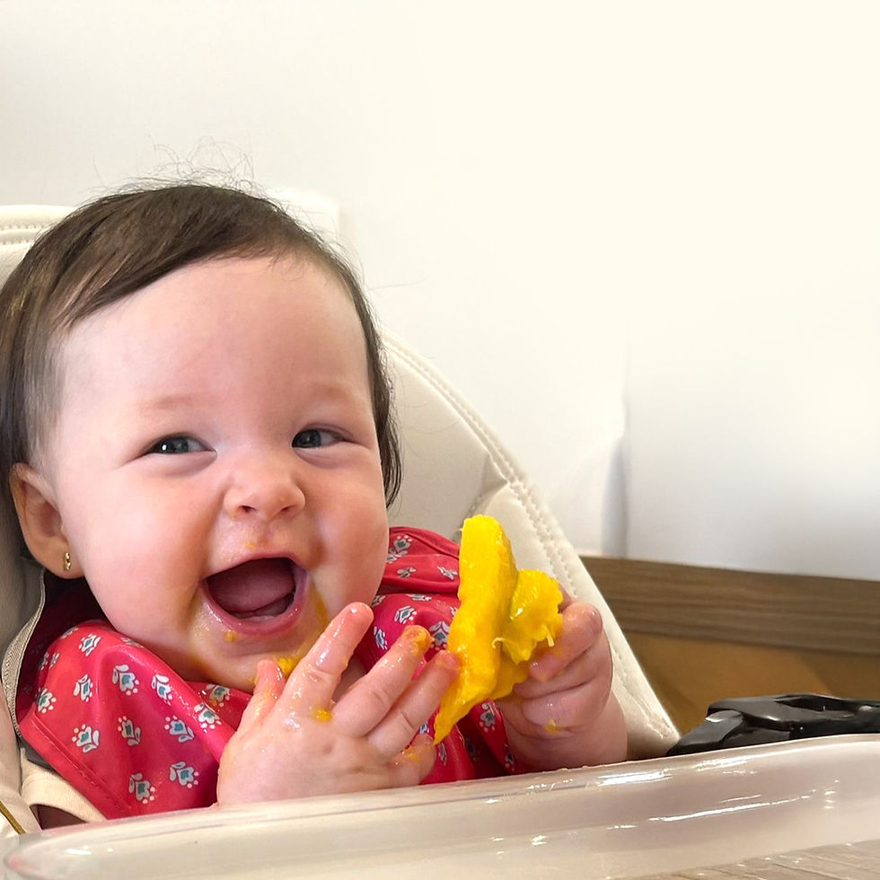 Quando é a hora certa da introdução alimentar?