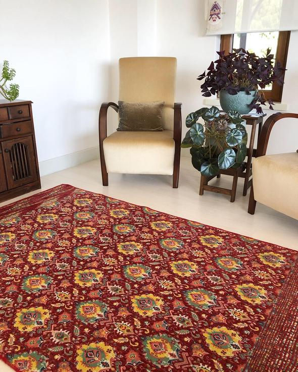 Küçük resim: Bukhara Cherry