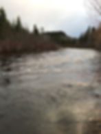 Wolf River Campground