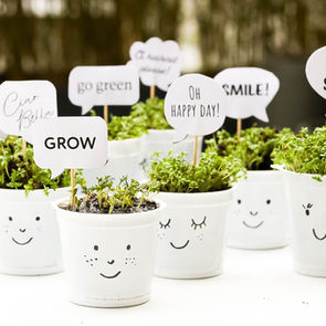 Microgreens – Upcycling von Joghurtbechern mit Kressesamen