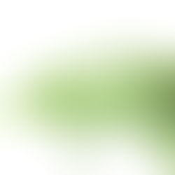 Photo, Nahaufnahme von Dill auf weissem Hintergrund