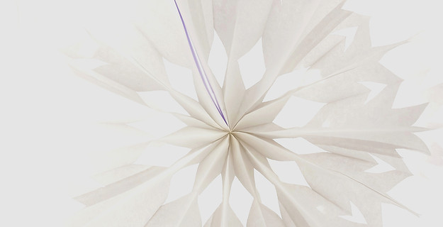 Atelier_Paper and Co_etoile de noel_edit