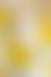 Limoncello Zitronen Etikette - Anhänger für die Flasche die als Gastgeschenk dient