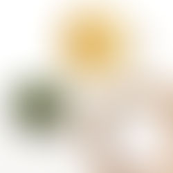 Drei verschiedenen kleine Schüsseln auf weissem Hintergrund von Oben fotografiert. In den Schüsseln hat es: geriebene und getrocknete Zitronenschale, Estragon, Dill, Meersalz
