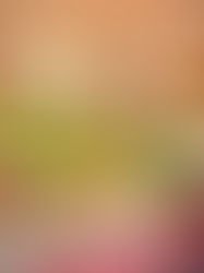 Arbennig Luxury Lodges and Paula Churchill Training Solutions Host Successful Christmas Wreath Making Workshops for Cancer Research UK