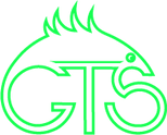 Green Traffic Software Logo