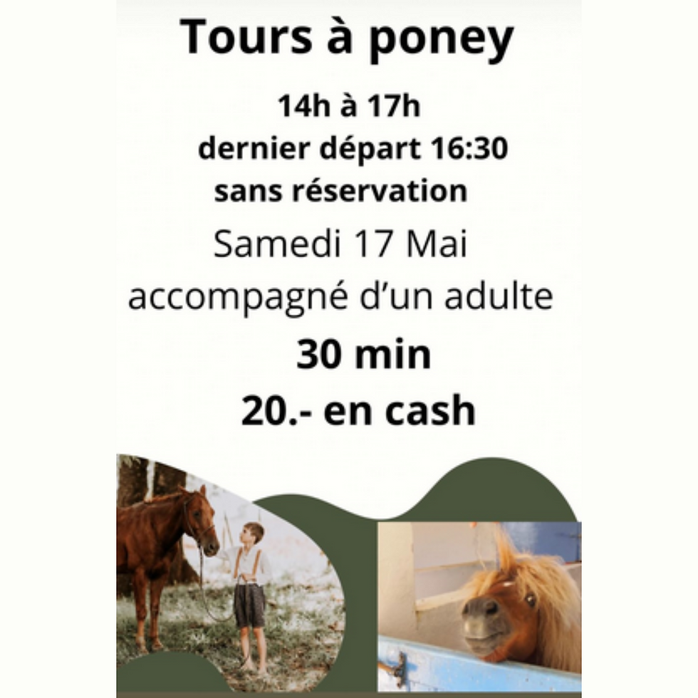 Tour à Poney au Manège de Meyrin