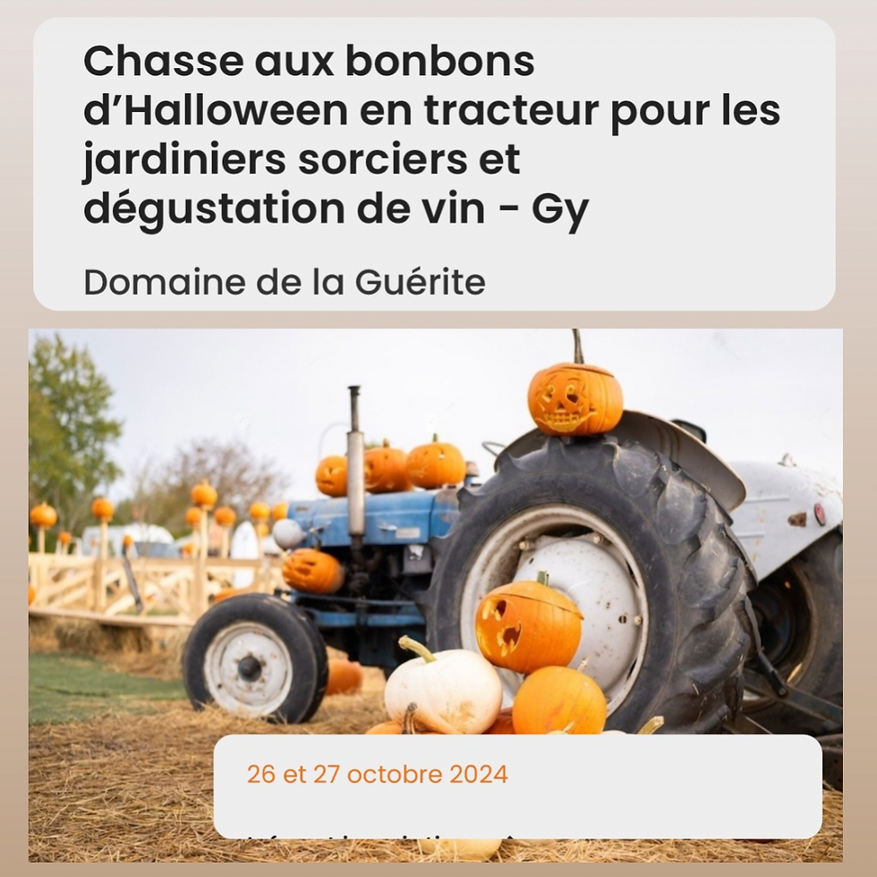 Hallomania à Gy : Chasse aux bonbons d’Halloween en tracteur et dégustation de vin