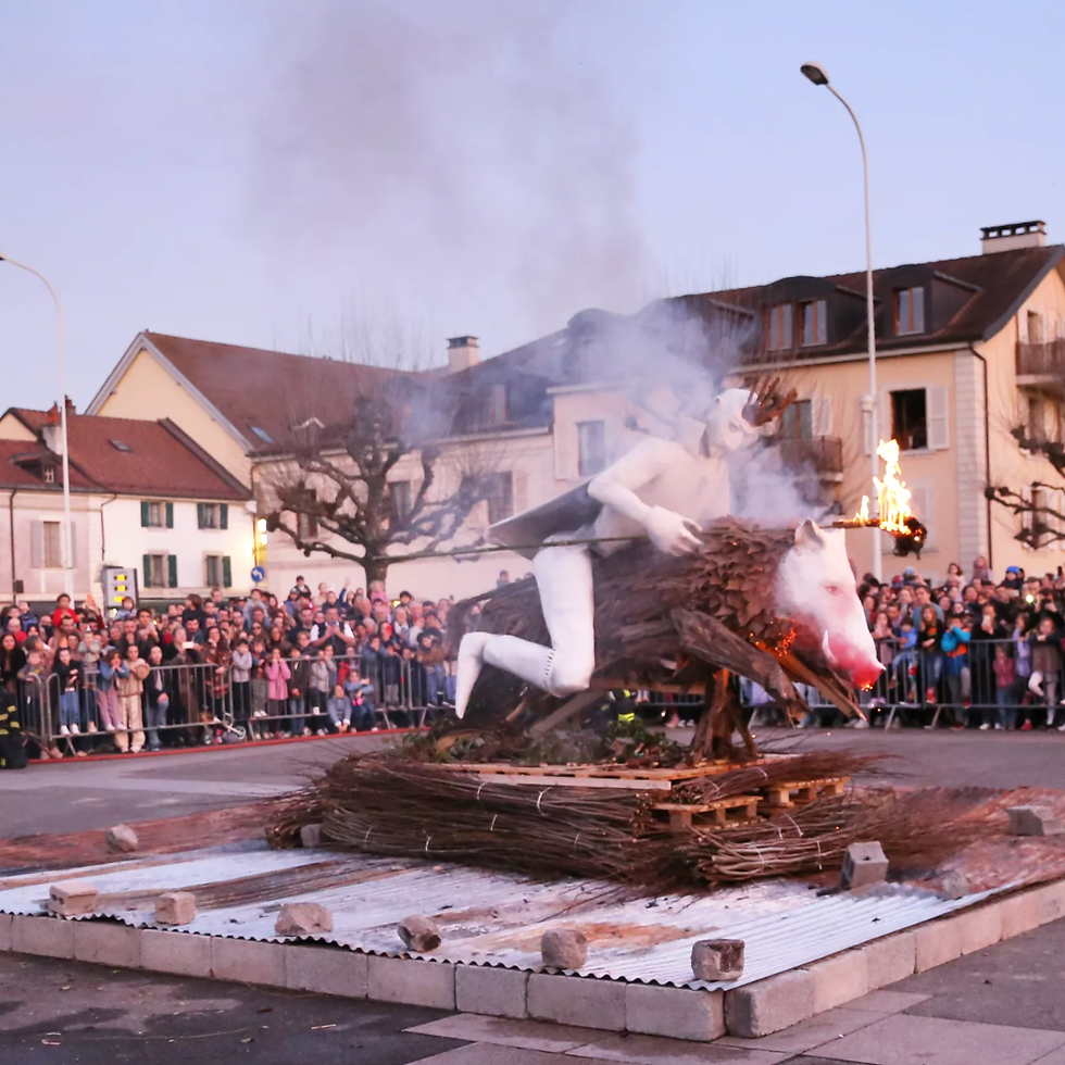 Fête du printemps à Carouge