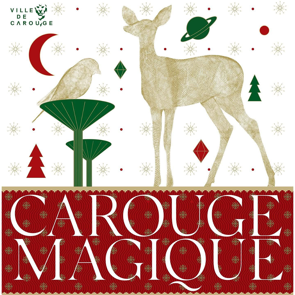 Carouge Magique : Illuminations, marché de Noël et patinoire !
