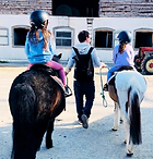 Manège de Meyrin.png