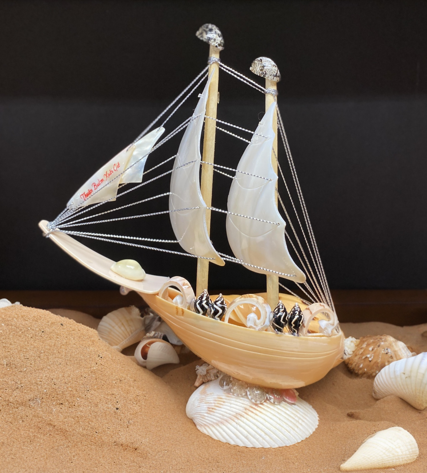 The Wave Rider Mini Boat