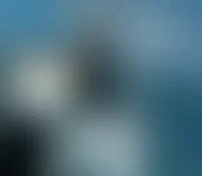 18-22 Aralık Ankara Nebi Vural Aikido Genel Semineri, 2024