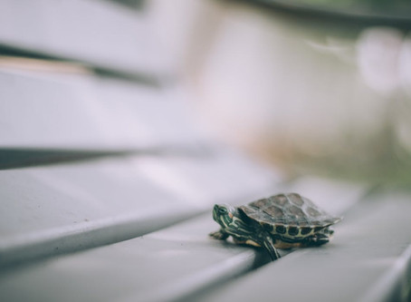 The Annoyingly Slow Pace of God
