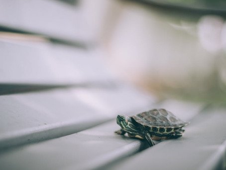 The Annoyingly Slow Pace of God