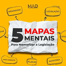5 MAPAS MENTAIS.png