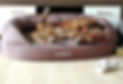 f6c07886-2433-45bb-b40c-71b9892dbcd5_edited.jpg