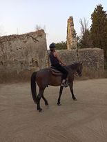 Family-run horse-riding experience offering guided local routes including lake, beach, monastery and sunset rides.