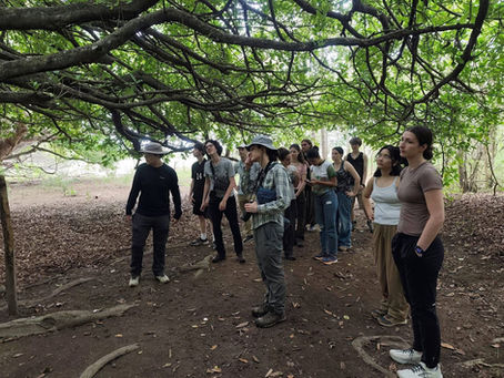 Universidad Nacional sede Liberia fortalece vínculos internacionales con visita académica de Brandeis University