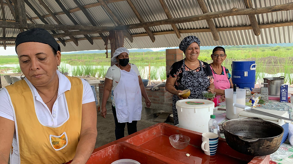 Costa Rica lanza “Fogón Futuro”: la estrategia nacional que convierte su cocina en motor de identidad, sostenibilidad y desarrollo