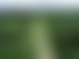 LLEGÓ LA ELECTRICIDAD A TODO EL ASENTAMIENTO SURCOOP III EN PIEDRAS BLANCAS DE OSA