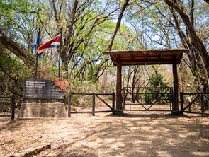 Reserva Conchal: 17 años de conservación, restauración y compromiso con la naturaleza de Guanacaste.