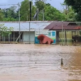 centros educativos afectados por la onda tropical 32