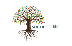 Securico SM POSTS.png