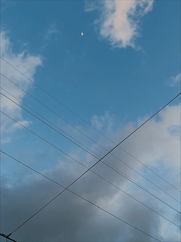 B1D6CA6D-F023-44EB-B5ED-F96E5EBC6369.JPG