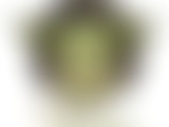 With you be, may the fourth!