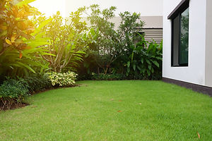 AdobeStock_301981141.jpeg