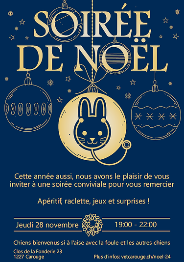 Affiche soirée de Noël 2024.png