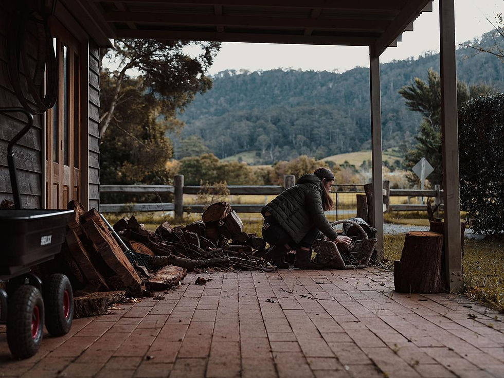 collecting firewood
