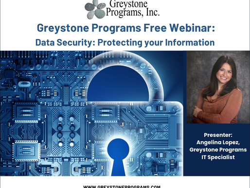 Data Security with Greystone Programs