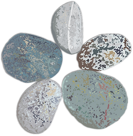 Greystone_Vector_Stones.png