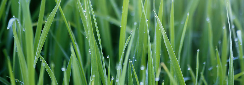 AdobeStock_59044450.jpeg