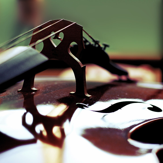 The Elegant Cello
